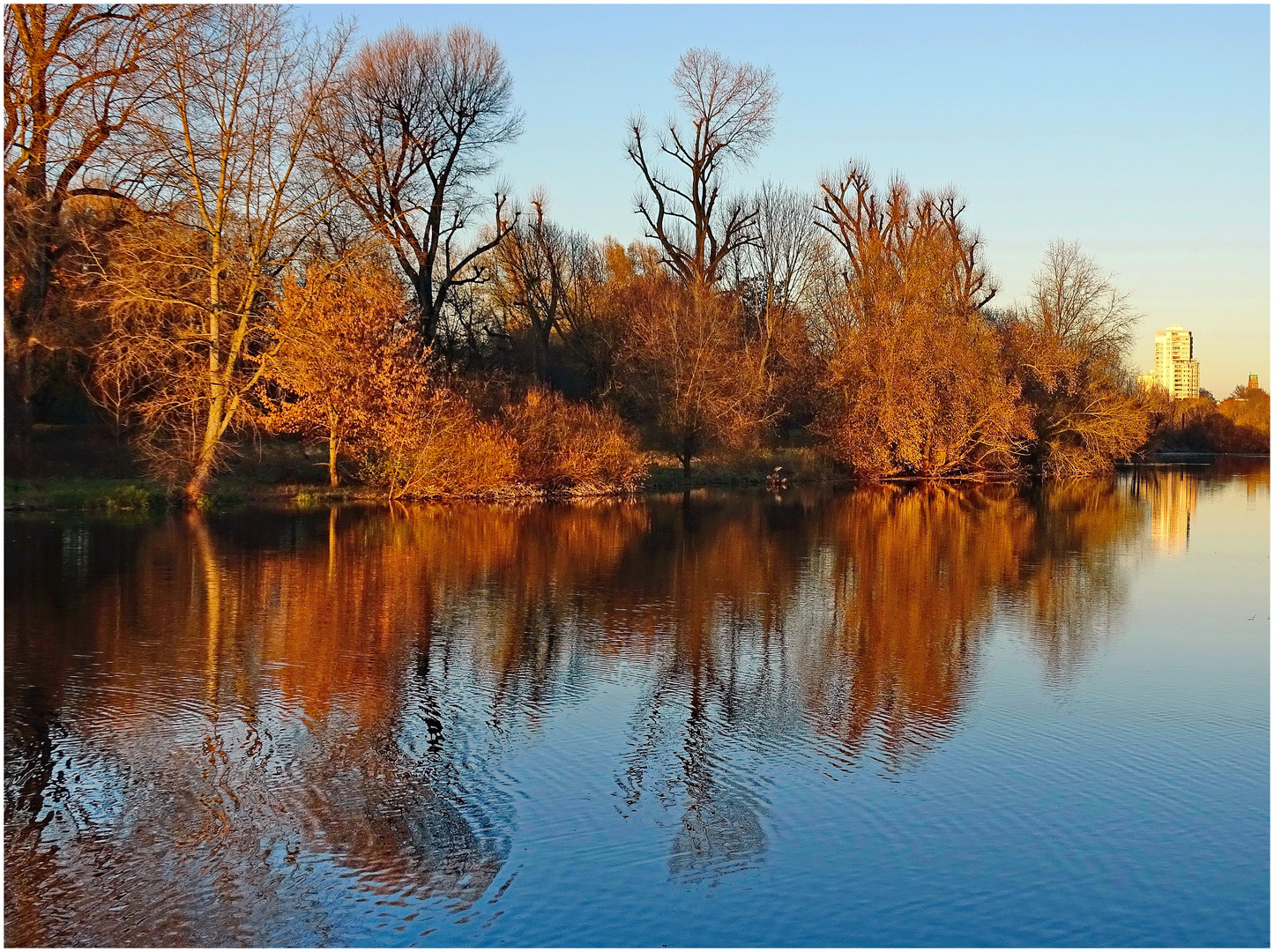 Herbststimmung in Köln-Porz