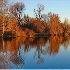 Herbststimmung in Köln-Porz