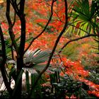 Herbststimmung in Kyoto