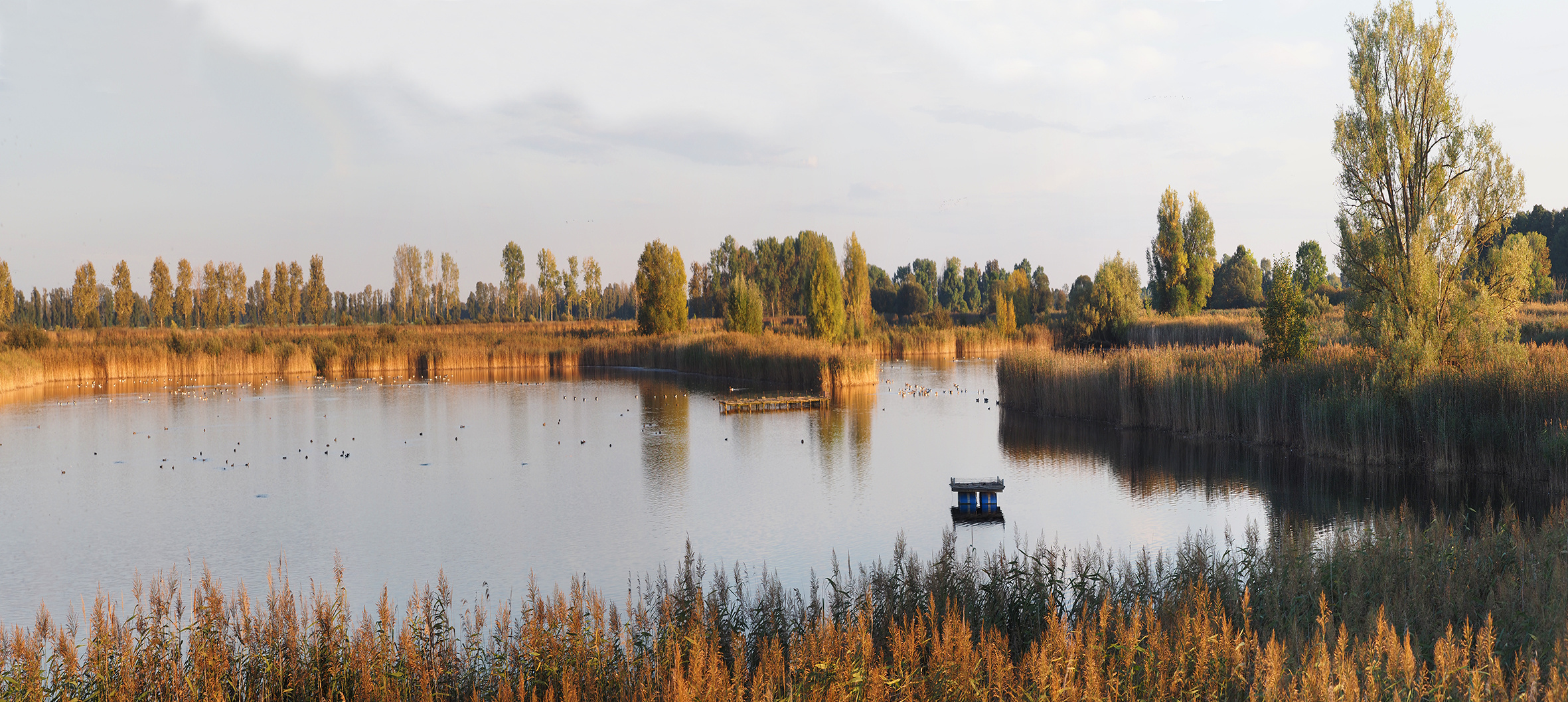 Herbststimmung in Linum, Brandenburg