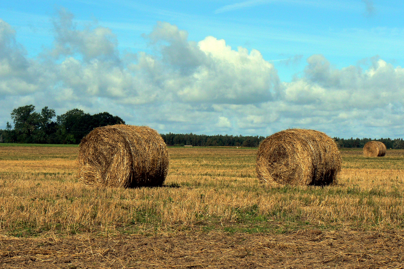 Herbststimmung in Litauen