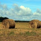 Herbststimmung in Litauen