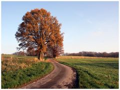 Herbststimmung in Löhne