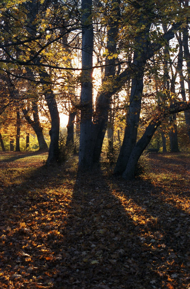 Herbststimmung in München