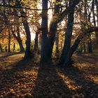 Herbststimmung in München