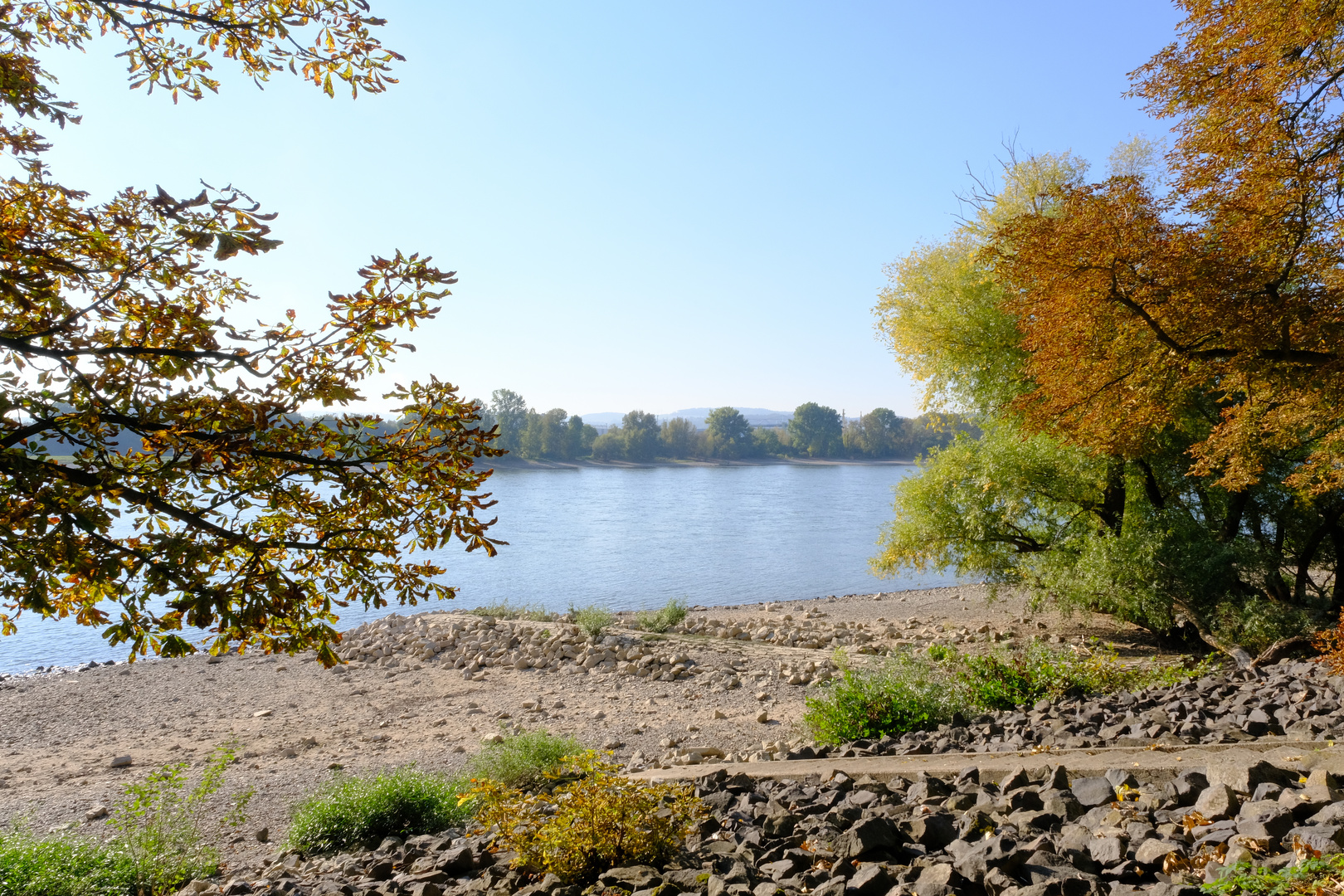 Herbststimmung in Neuwied am Rhein (2)