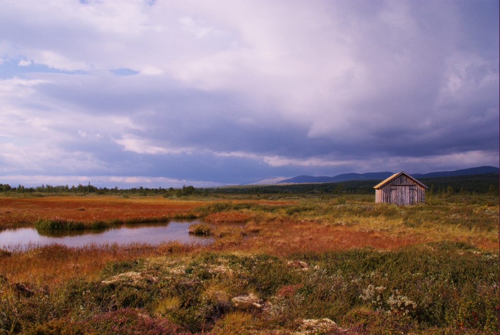 Herbststimmung in Norwegen