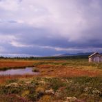 Herbststimmung in Norwegen