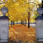 Herbststimmung in Oldenburg