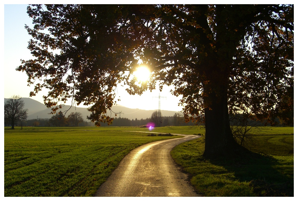 Herbststimmung in Rosenheim [1]