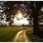 Herbststimmung in Rosenheim [1]