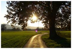 Herbststimmung in Rosenheim [1]