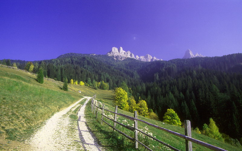 Herbststimmung in Südtirol