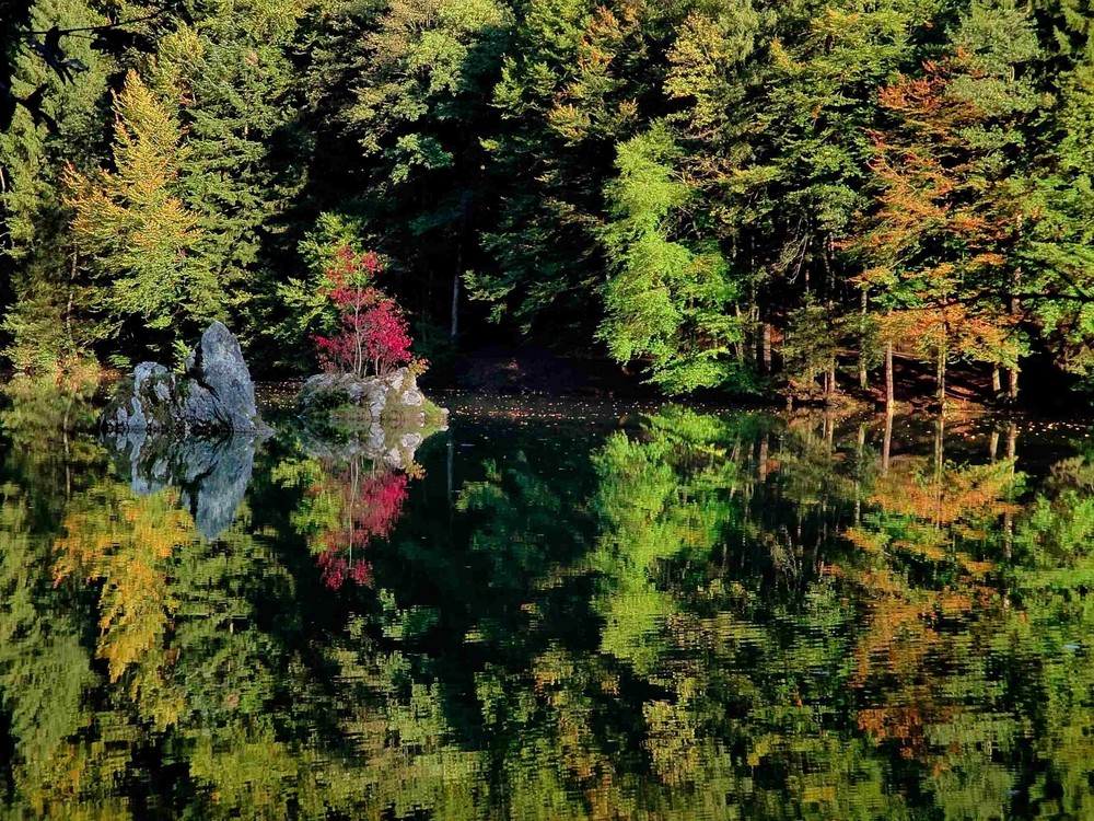 Herbststimmung in Tirol