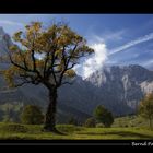 Herbststimmung in Tirol_01