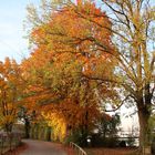 Herbststimmung in Utting