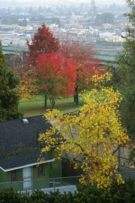 ...Herbststimmung in Vancouver/Canada...