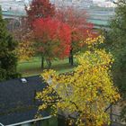 ...Herbststimmung in Vancouver/Canada...