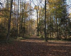 Herbststimmung in Weesen/Gl.