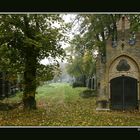 Herbststimmung in Wien2