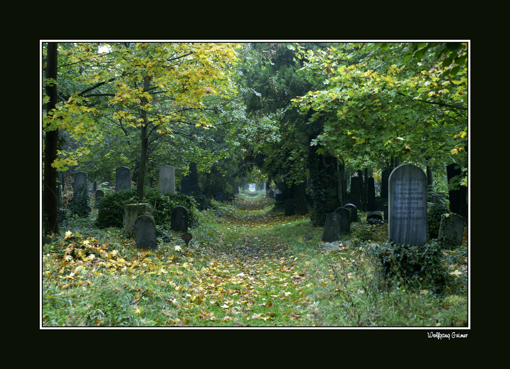 Herbststimmung in Wien3