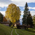 Herbststimmung Magrüel Triesen