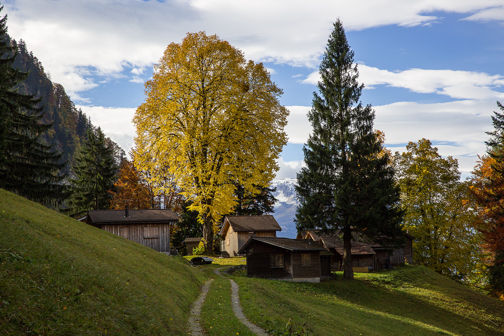 Herbststimmung Magrüel Triesen