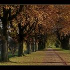 Herbststimmung mit Blick auf Neuss - Grimlinghausen