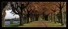 Herbststimmung mit Blick auf Neuss - Grimlinghausen