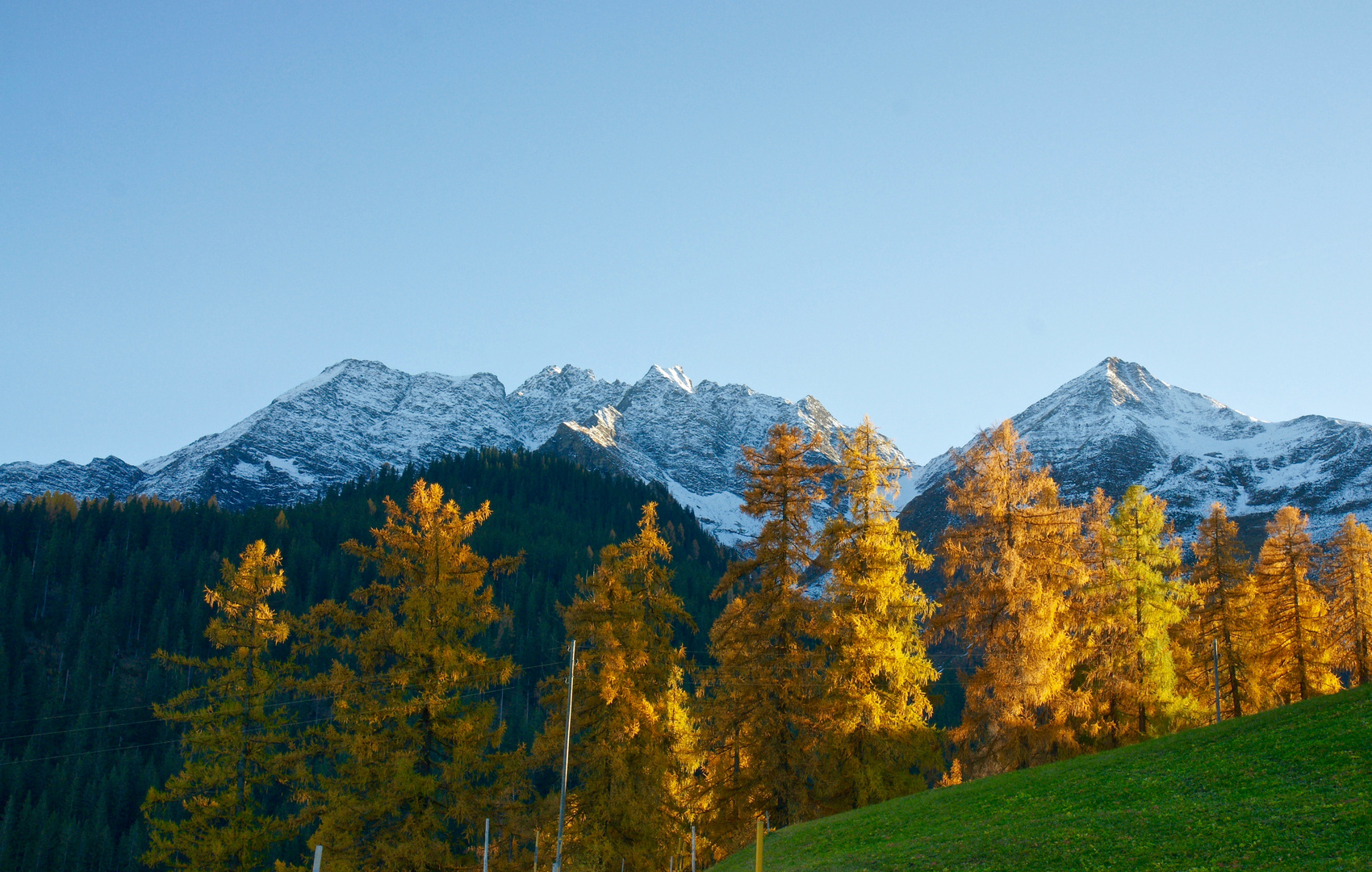 Herbststimmung mit Blick gegen den Piz Fess /Signinagruppe GR/CH