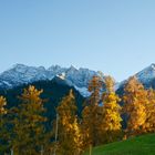 Herbststimmung mit Blick gegen den Piz Fess /Signinagruppe GR/CH