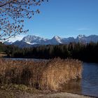 Herbststimmung mit Blick über den See zum Karwendelgebirge