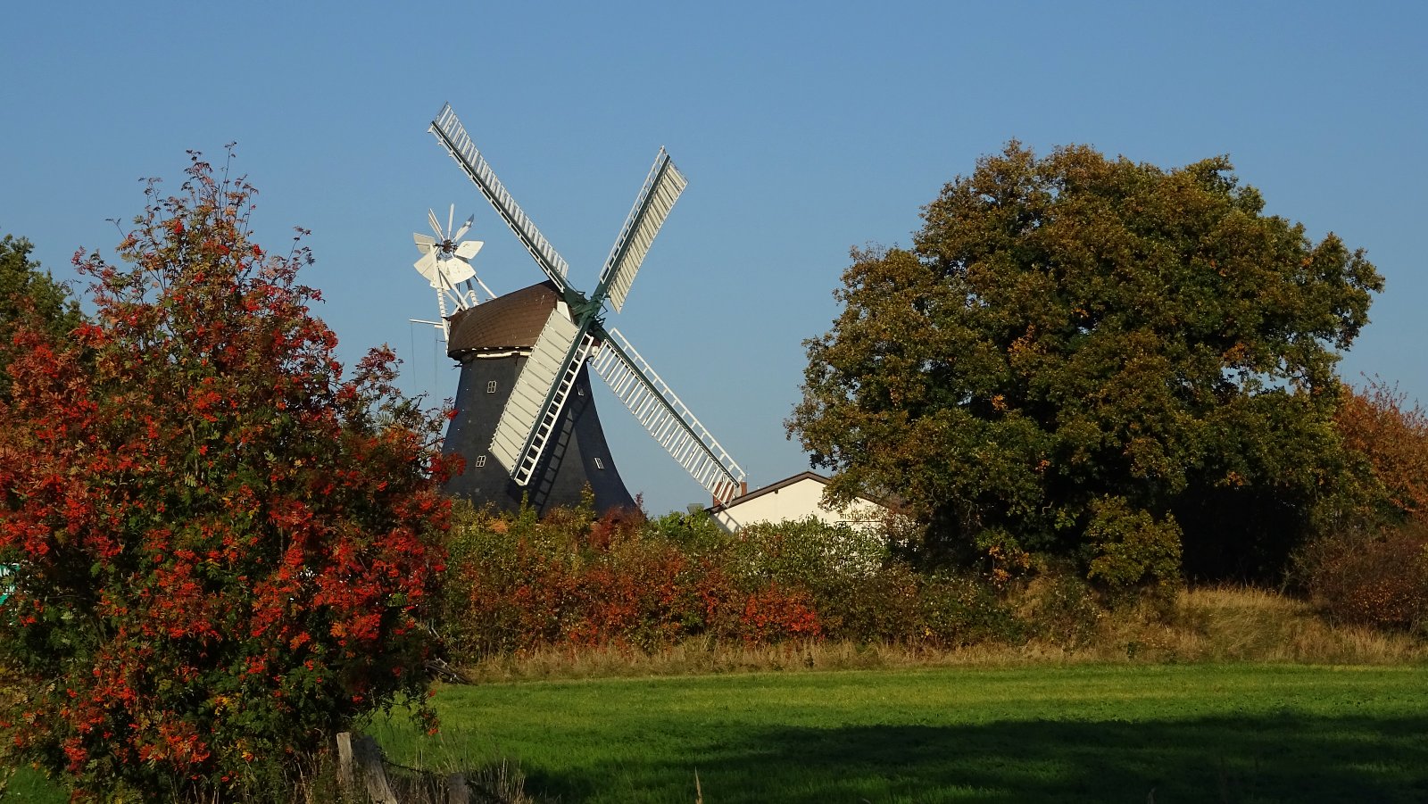 Herbststimmung mit der Windmühle Krokau