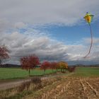 Herbststimmung mit Drachen