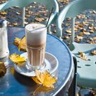 Herbststimmung mit Latte MacChiato / Mainz 2009