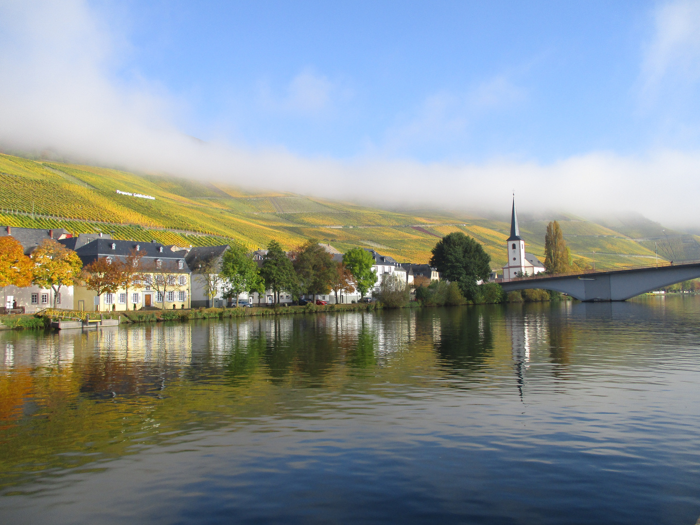 Herbststimmung mit Morgennebel an der Mosel 