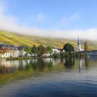 Herbststimmung mit Morgennebel an der Mosel 