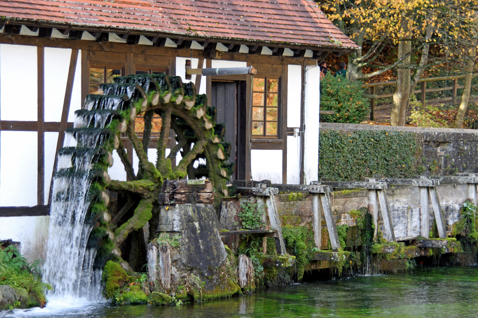 Herbststimmung mit Mühlenrad am Blautopf in Blaubeuren