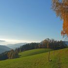 Herbststimmung mit Weitblick