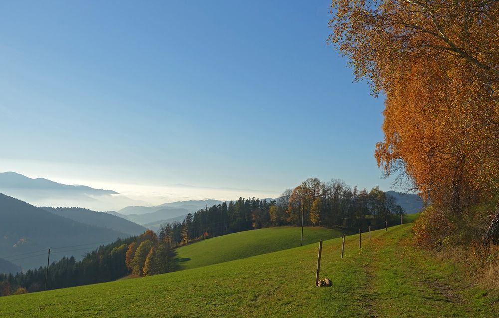 Herbststimmung mit Weitblick