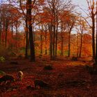 Herbststimmung mit Wildschweinen