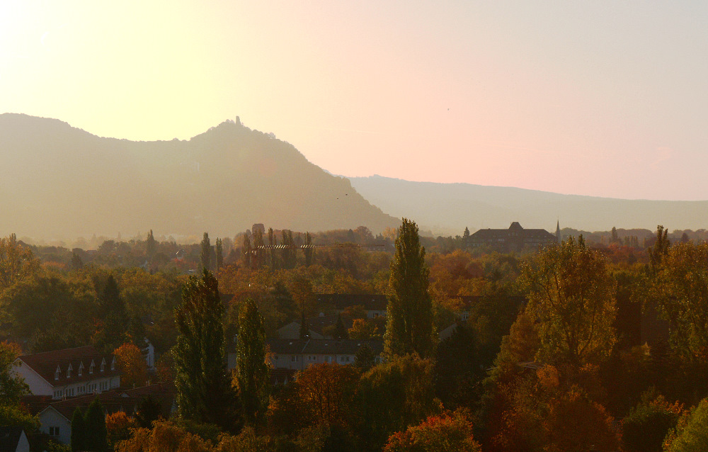 Herbststimmung morgens in Bonn