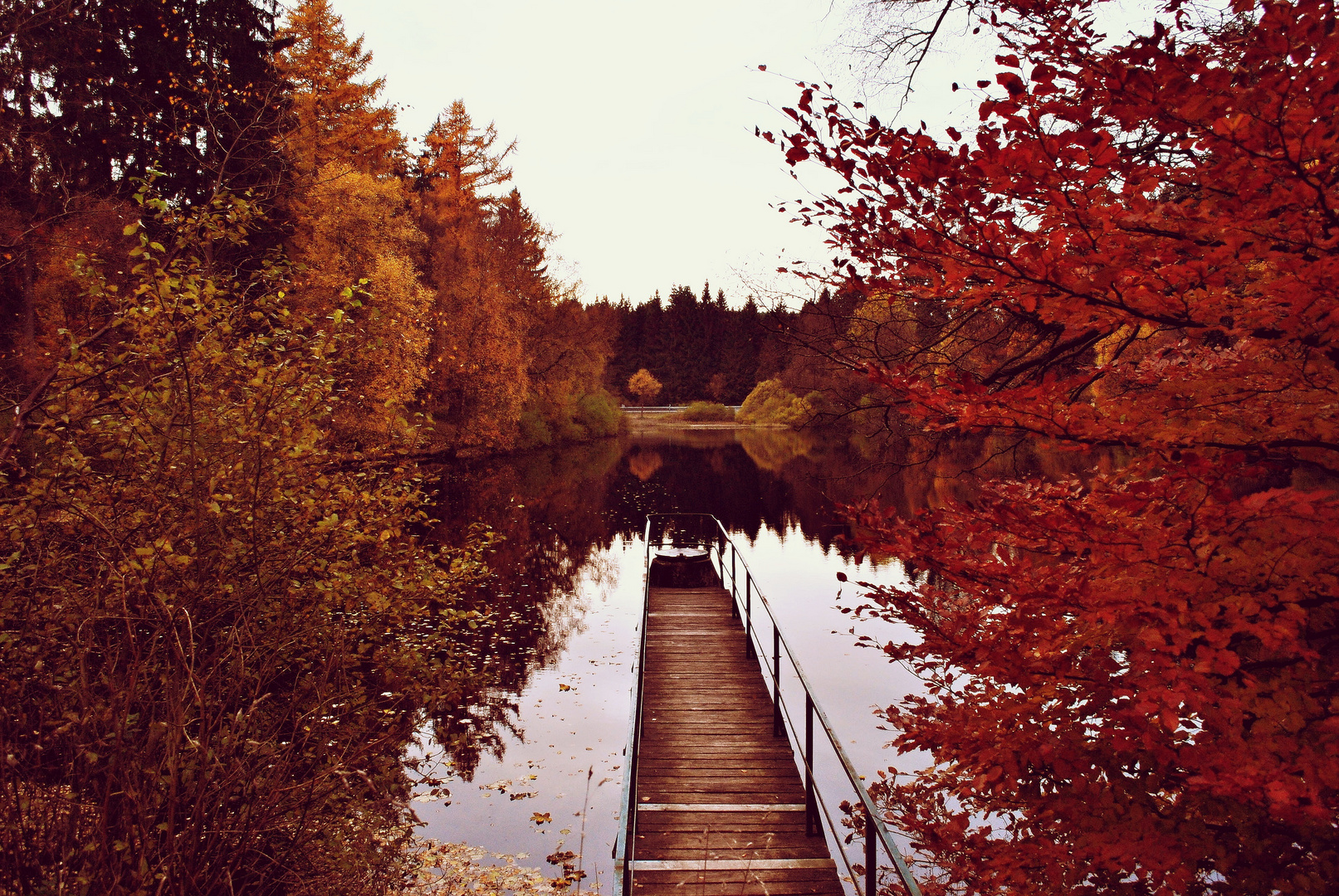 Herbststimmung - Neuer Teich