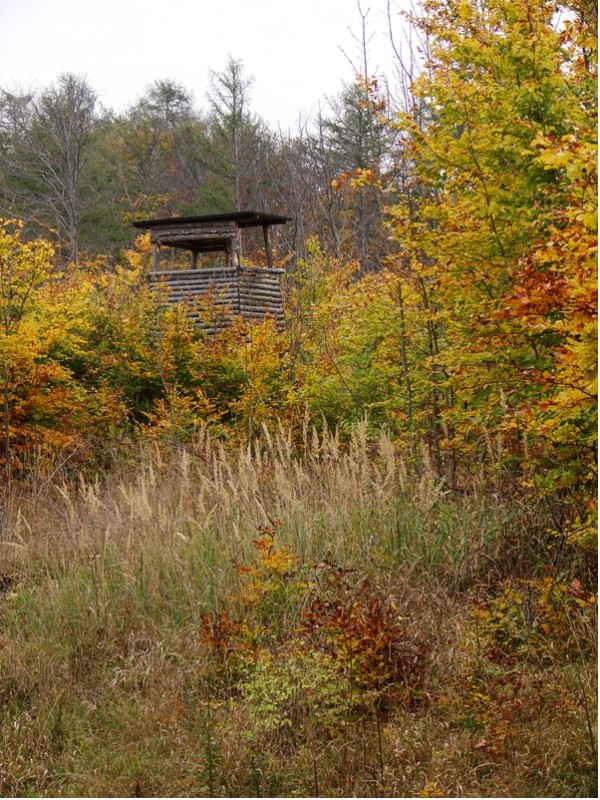 Herbststimmung - nicht nur für Jäger schön