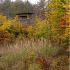 Herbststimmung - nicht nur für Jäger schön