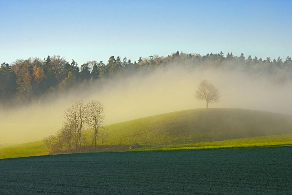 Herbststimmung oberhalb Männedorf