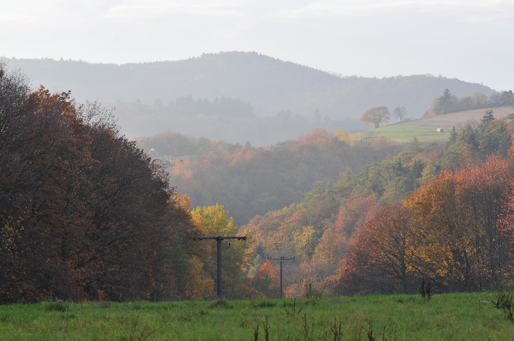 Herbststimmung oberhalb von Lorsbach