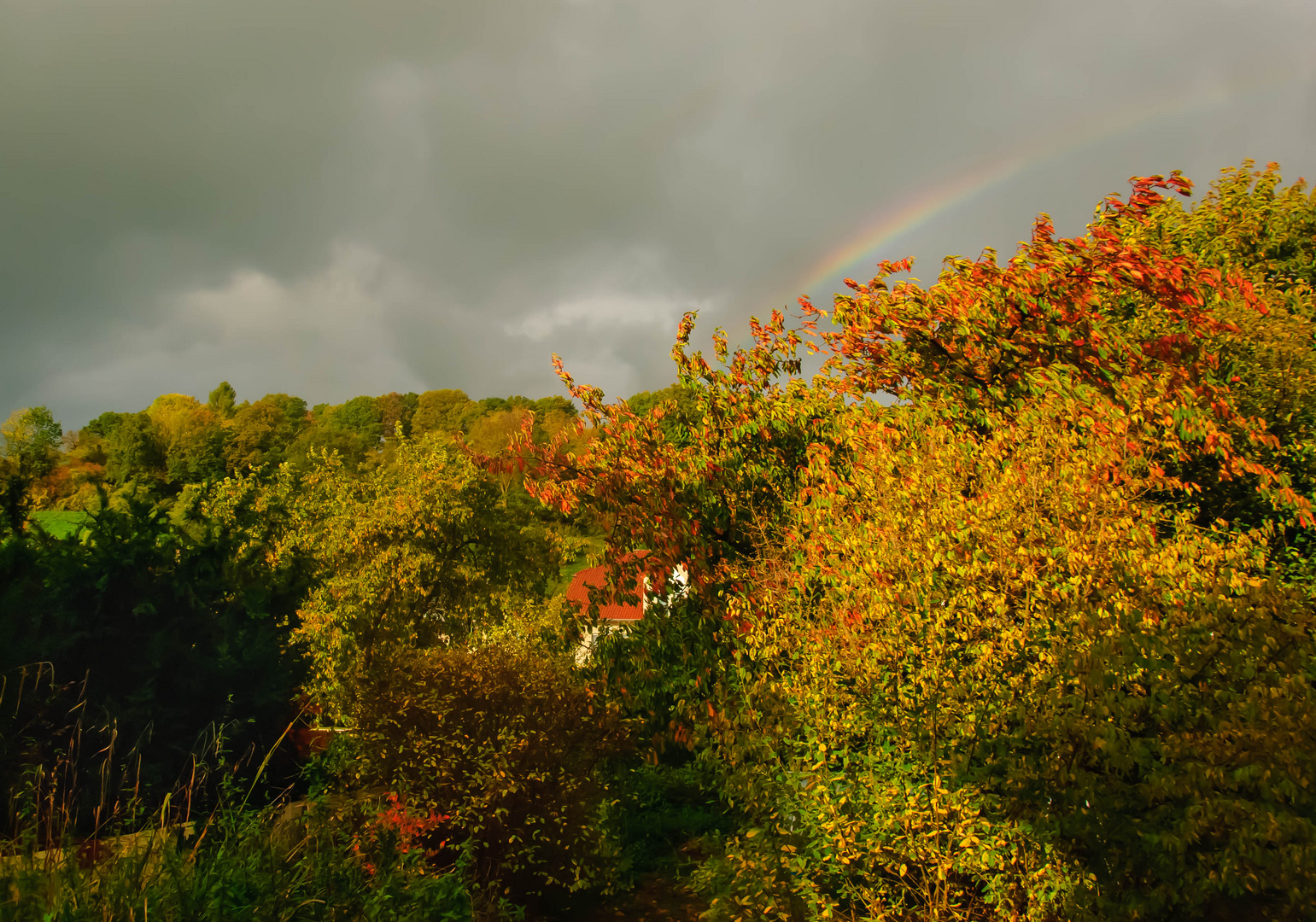 Herbststimmung  Oktober 2017 (1 von 1)