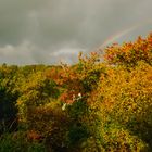 Herbststimmung  Oktober 2017 (1 von 1)