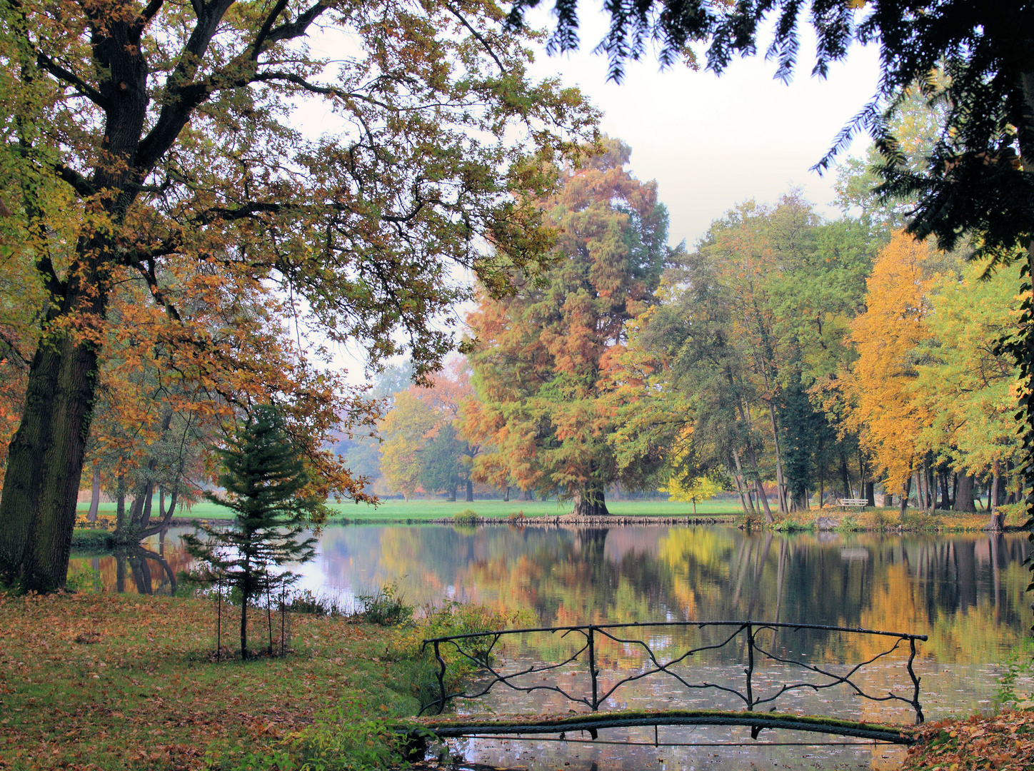 Herbststimmung Parc de Schoppenwihr